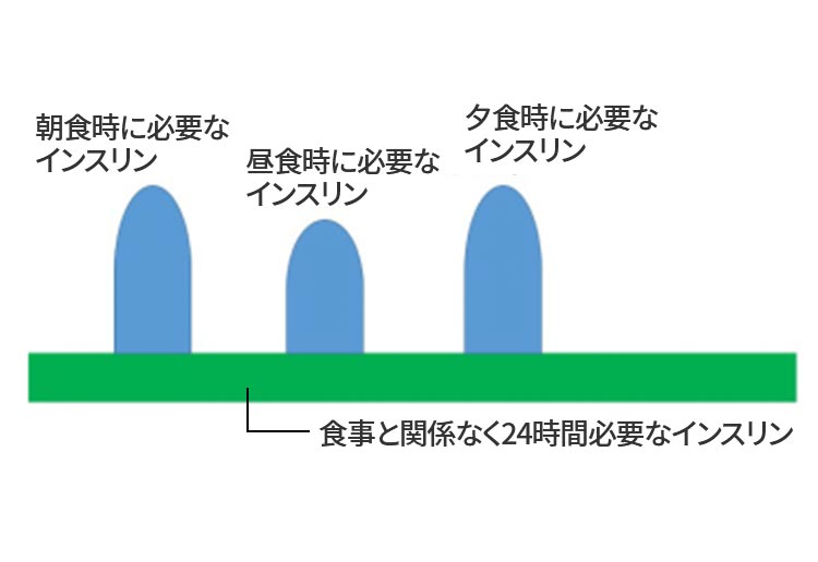 インスリン説明図